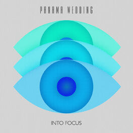 Album cover of Into Focus