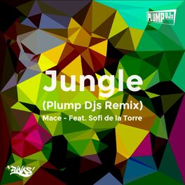 Album cover of Jungle (Plump DJs Remix)