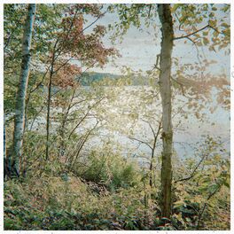 Album cover of Scenes From Within