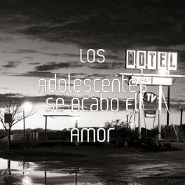 Album cover of Se Acabó el Amor
