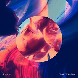 Album cover of Fool (feat. Bloom)