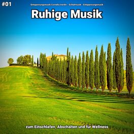 Album cover of #01 Ruhige Musik zum Einschlafen, Abschalten und für Wellness