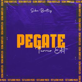 Album cover of Pegate (Turreo Edit)