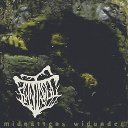 Album cover of Midnattens Widunder