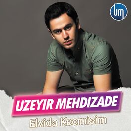 Album cover of Elvida Kecmisim