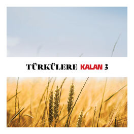 Album cover of Türkülere Kalan, Vol. 3