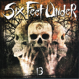Album cover of 13