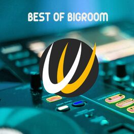 Album cover of Best of Bigroom