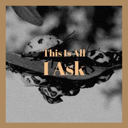 Album cover of This Is All I Ask