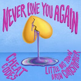 Album cover of Never Love You Again