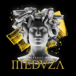 Album cover of Introducing MEDUZA