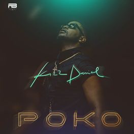 Album cover of Poko