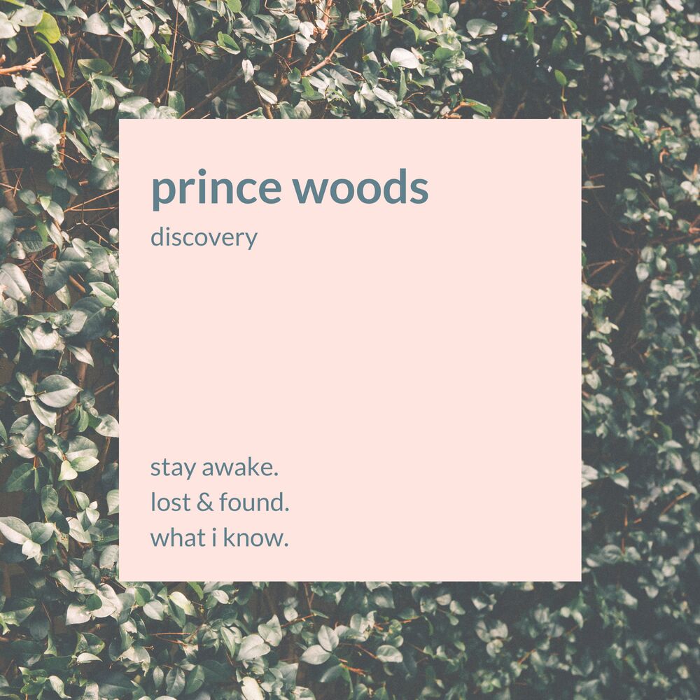 Текст песни wood. Prince Woods. Prince Woods Semanyuk. Discover woodsy. Перевод песни Lost and found.