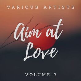 Album cover of Aim at Love, Vol. 2