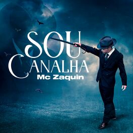 Album cover of Sou Canalha