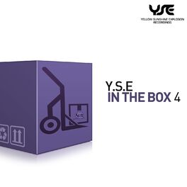 Album cover of Y.S.E. in the Box, Vol. 4