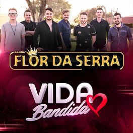 Album cover of Vida Bandida