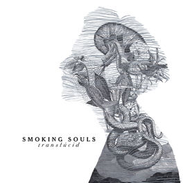 Album cover of Translúcid
