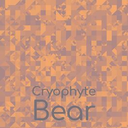 Album cover of Cryophyte Bear