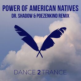 Album cover of Power of American Natives (Dr. Shadow & Poezenkind Remix)