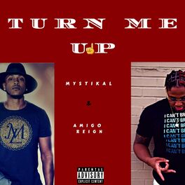 Album cover of Turn Me Up (feat. Mystikal)