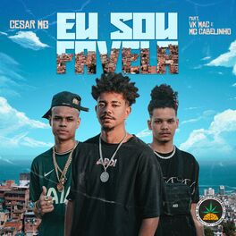 Album cover of Eu Sou Favela