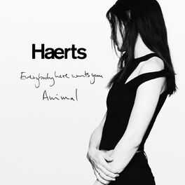 Album cover of Everybody Here Wants You