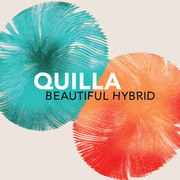 Album cover of Beautiful Hybrid