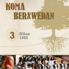 Album cover of Dîlan, Vol. 3 (1985)