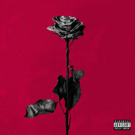 Album picture of deadroses