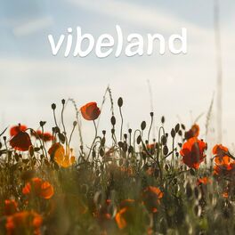 Album cover of vibeland