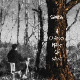Album cover of A Chapter Made Of Wood