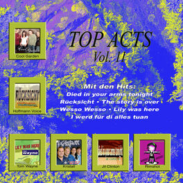 Album cover of Top Acts Vol. 11