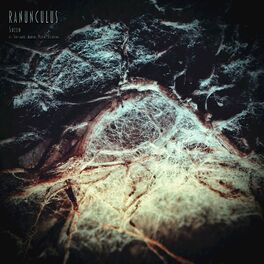 Album cover of Ranunculus
