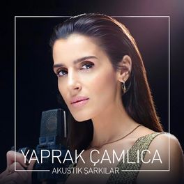 Album cover of Akustik Şarkılar