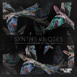 Album cover of Synths and Notes 34