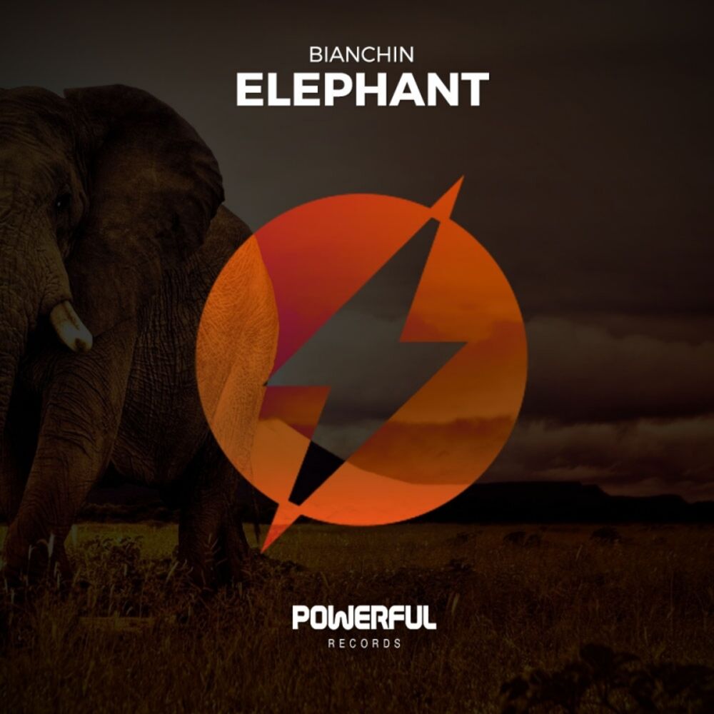 Elephant music. Elephants Original. Elephant треки Cola. Stylust, Ashez - the Elephant (Original Mix).