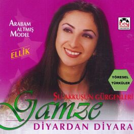 Album cover of Diyardan Diyara / Arabam Altmış Model