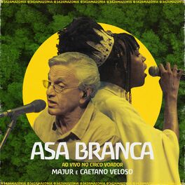 Album cover of Asa Branca (342 Amazônia ao Vivo no Circo Voador)