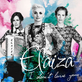 Album cover of I Don't Love You