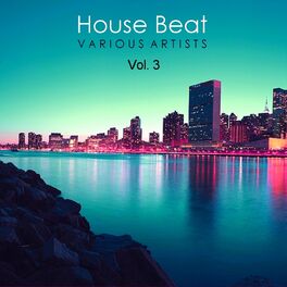 Album cover of House Beat, Vol. 3