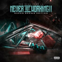 Album cover of Never Not Working II (Ocean Grown Edition)