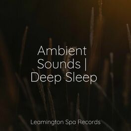 Album cover of Ambient Sounds | Deep Sleep