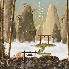 Album cover of Ronin