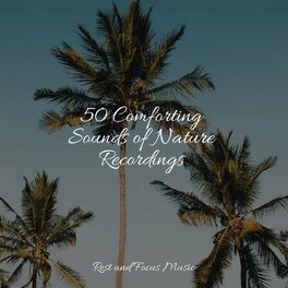 Album cover of 50 Comforting Sounds of Nature Recordings