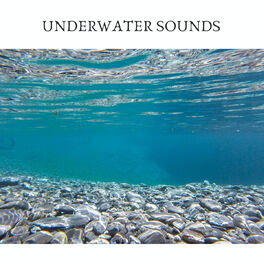 Album cover of Underwater Sounds
