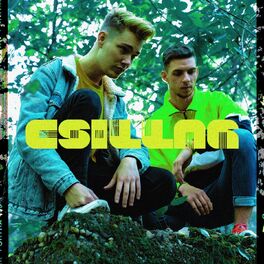 Album cover of Csillag