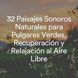 Album cover of 32 Paisajes Sonoros Naturales para Pulgares Verdes, Recuperación y Relajación al Aire Libre