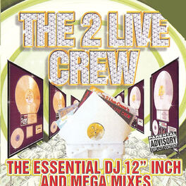 Album cover of Essential Dj 12 Inch & Mega Mixes
