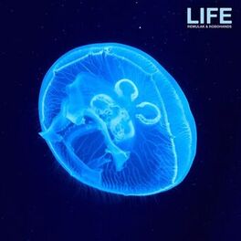 Album cover of Life